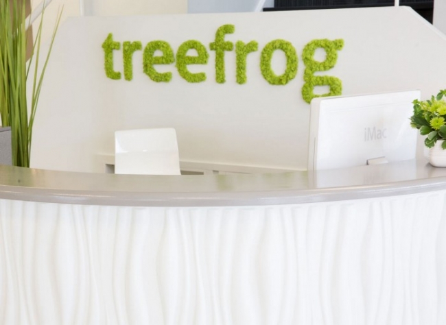 Treefrog Web Design Office